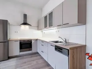 Pronájem bytu 2+kk, Praha - Holešovice, Schnirchova, 75 m2