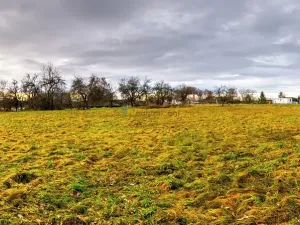Prodej pozemku pro bydlení, Stádlec, 4550 m2
