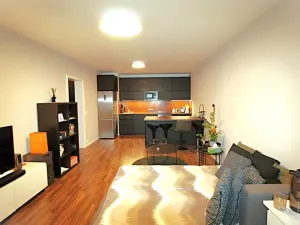 Prodej bytu 2+kk, Praha - Libeň, Novovysočanská, 55 m2