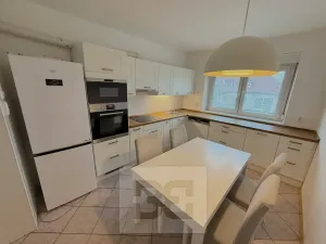 Pronájem atypického bytu, Praha - Stodůlky, Frimlova, 196 m2