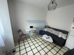 Pronájem bytu 1+1, Liberec, Horská, 37 m2