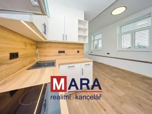 Pronájem bytu 3+kk, Olomouc, Přichystalova, 74 m2