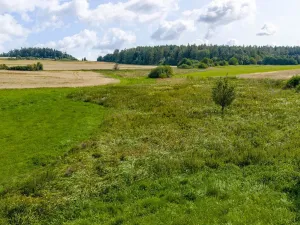 Prodej rybníku, Želetava, 5179 m2