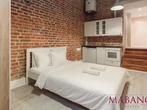 Pronájem bytu 1+kk, Praha - Žižkov, Lucemburská, 24 m2