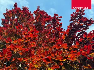 Prodej rodinného domu, Kamenice, Lomená, 157 m2