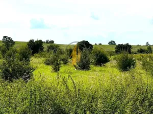 Prodej pozemku pro bydlení, Račice nad Trotinou, 5758 m2