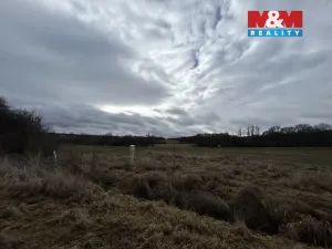 Prodej pole, Blatno, 9355 m2