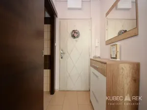 Prodej bytu 1+1, Sezimovo Ústí, Dukelská, 35 m2