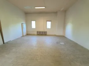 Pronájem obchodního prostoru, Ústí nad Labem, Seifertova, 87 m2