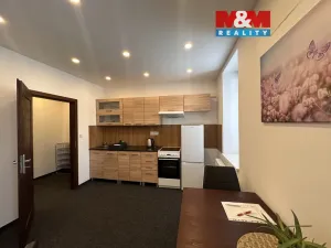 Pronájem bytu 1+kk, Příseka, 30 m2