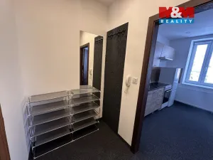 Pronájem bytu 1+kk, Příseka, 30 m2