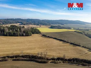 Prodej pole, Čepřovice, 53501 m2