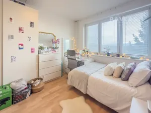 Prodej bytu 3+1, České Budějovice, Krčínova, 78 m2