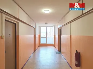 Pronájem bytu 1+kk, Cheb, Přátelství, 22 m2