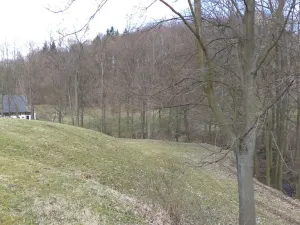 Prodej pole, Heřmanov - Fojtovice, 4633 m2