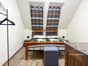 Pronájem ubytování, Valtice, Josefská, 251 m2