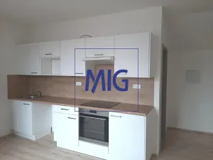 Pronájem bytu 3+kk, Syrovice, 53 m2