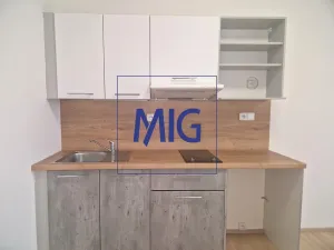 Pronájem bytu 1+kk, Syrovice, 28 m2