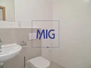 Pronájem bytu 1+kk, Syrovice, 28 m2