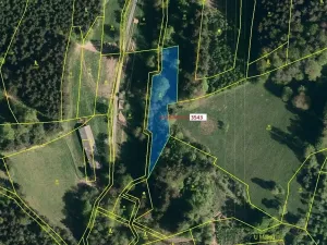 Dražba lesa, Zděchov, 1866 m2