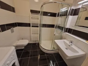 Pronájem bytu 1+kk, Ostrava - Moravská Ostrava, Jantarová, 37 m2