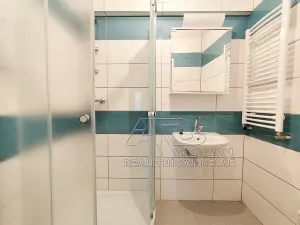 Pronájem bytu 2+kk, České Budějovice, 44 m2