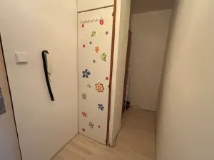 Pronájem bytu 1+1, Frýdek-Místek, Ostravská, 27 m2