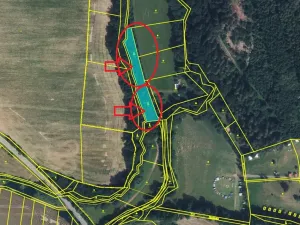 Prodej lesa, Lužany, 2098 m2