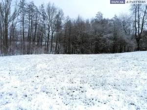 Prodej pozemku pro bydlení, Ostrava, 3094 m2