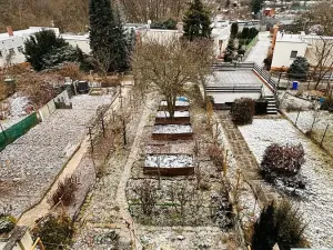 Prodej rodinného domu, Brno, Kupkova, 176 m2