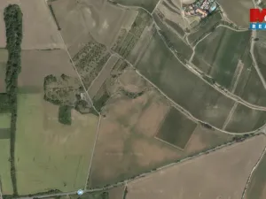 Prodej pole, Přítluky - Nové Mlýny, 3119 m2