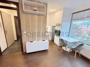 Pronájem bytu 1+kk, Plzeň, Pallova, 29 m2