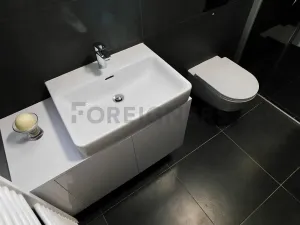 Pronájem bytu 1+kk, Plzeň, Pallova, 29 m2