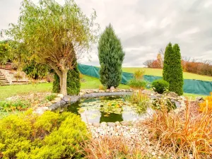 Prodej rodinného domu, Nepřevázka, 252 m2