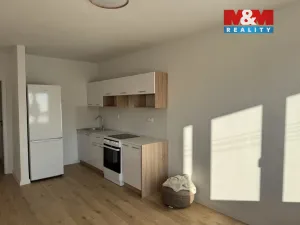 Pronájem bytu 1+kk, Ostrava - Výškovice, Lumírova, 27 m2