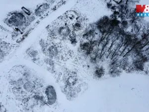 Prodej louky, Březí, 11766 m2