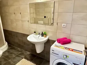 Pronájem bytu 1+kk, Pardubice, Pod Vinicí, 33 m2