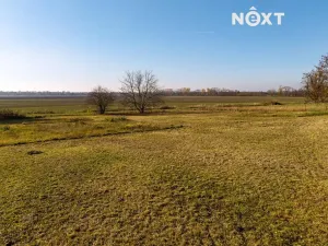 Prodej pozemku pro bydlení, Dyjákovice, 4308 m2