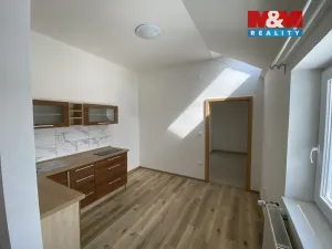 Pronájem bytu 1+1, Těšany, 31 m2