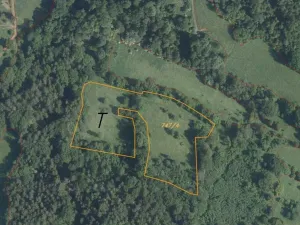 Dražba louky, Děčín, 15764 m2