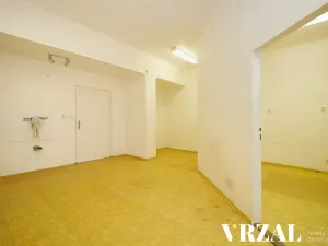 Pronájem ordinace, Plzeň, Francouzská třída, 43 m2