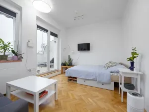 Prodej bytu 1+1, Praha - Žižkov, Baranova, 49 m2