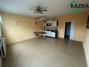 Pronájem bytu 1+kk, Planá, Bohušova, 31 m2