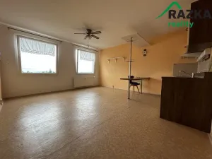Pronájem bytu 1+kk, Planá, Bohušova, 31 m2