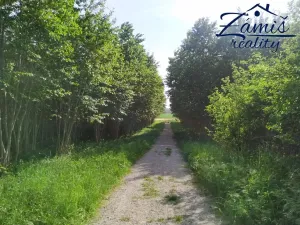 Prodej sadu/vinice, Kačice, K zahradě, 43712 m2