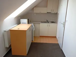 Pronájem bytu 1+kk, Ostopovice, Družstevní, 32 m2