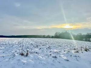 Prodej pole, Zbýšov, 10847 m2