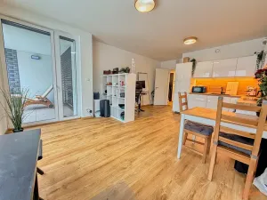 Pronájem bytu 2+kk, Praha - Holešovice, Jankovcova, 79 m2