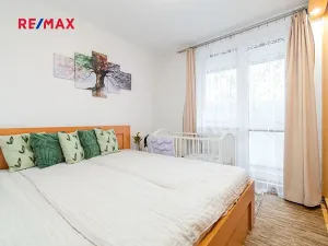 Prodej bytu 3+1, Čejetice, 60 m2