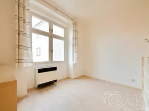 Pronájem bytu 2+kk, Praha - Žižkov, Přemyslovská, 46 m2